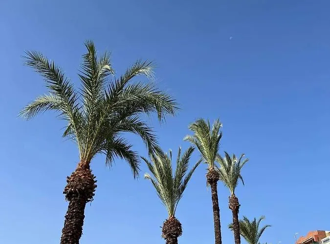 شقة Uroczy Przy Playa De Locos